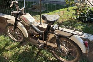 motorino gitan