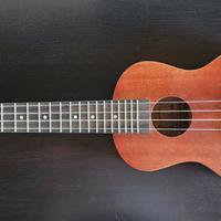Ukulele