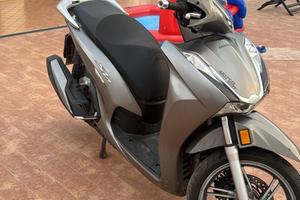 Sh 350 targa polacca