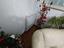 Immagine 12