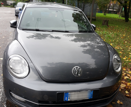 Maggiolino beetle 2012