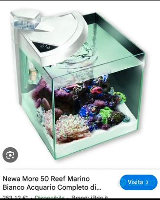 Acquario marino Newa minireef + accessori