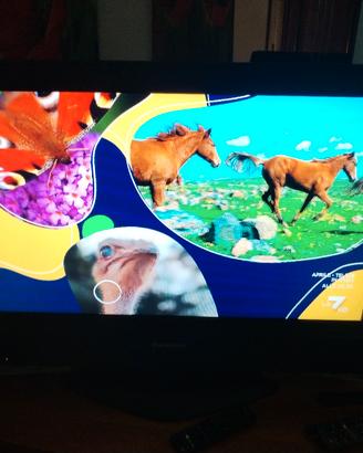 o tv panasonic