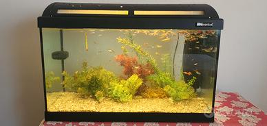 acquario completo 60litri