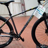 BOTTECCHIA ibrida