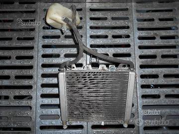 Radiatore piaggio beverly