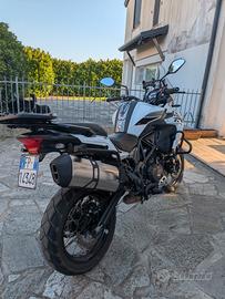 TRK 502 X 2024 