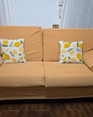 Coppia di divani beige 