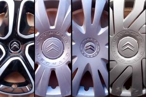 Borchie Copricerchi Usati CITROEN