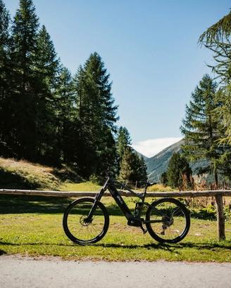 E-BIKE MTB FULL THOR