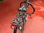 Immagine 5