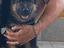 Immagine 4