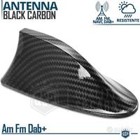 Antenna PINNA SQUALO Fibra di Carbonio Universale