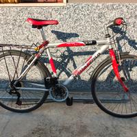 Bicicletta MTB ruote 26 - Bottecchia