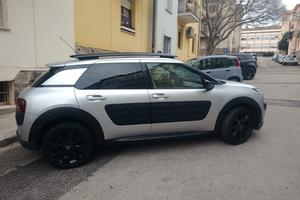 C4 cactus 