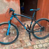 MTB Torpado Mercury 29ER