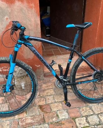 MTB Torpado Mercury 29ER