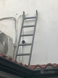 2 scale in ferro