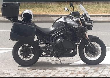 triumph