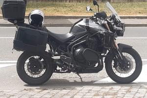 triumph