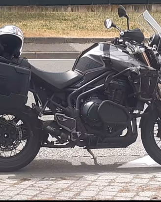 triumph