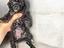 Immagine 4