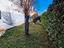 Immagine 14