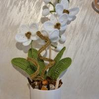 Pianta orchidea realizzata all'uncinetto 