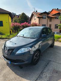 Ypsilon elefantino del 2015