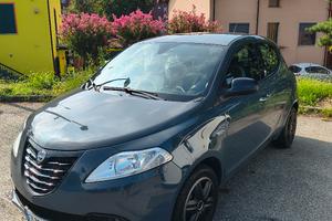 Ypsilon elefantino del 2015