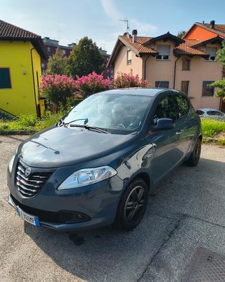 Ypsilon elefantino del 2015