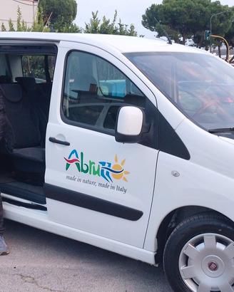 Autista per noleggio con conducente o taxi