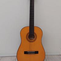 Chitarra Toledo Y20