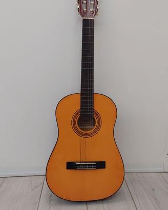 Chitarra Toledo Y20