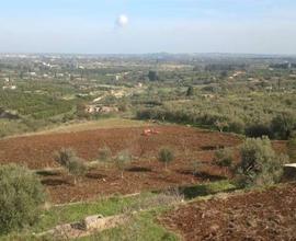 Rif.B0635| terreno agricolo siracusa
