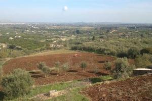 Rif.B0635| terreno agricolo siracusa