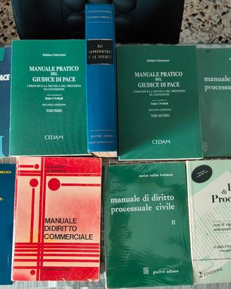 Lotto di 9 libri giuridici.