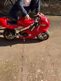 Mini moto 🏍️