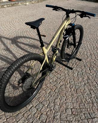 Mountain Bike TREK ROSCOE 9 2023