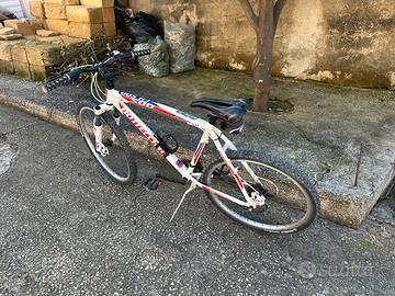 Bottecchia FX 500