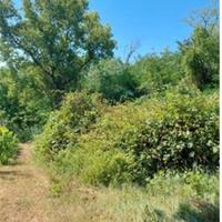 RGE 103/2023 - Tribunale di Urbino - Lotto 4