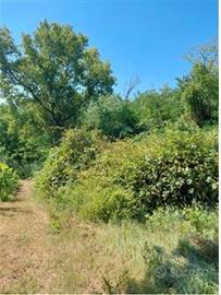 RGE 103/2023 - Tribunale di Urbino - Lotto 4