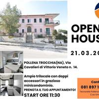 4 LOCALI A POLLENA TROCCHIA