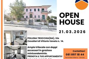 4 LOCALI A POLLENA TROCCHIA