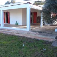 Villetta ulivi