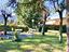 Immagine 19