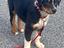 Immagine 6