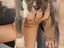 Immagine 6