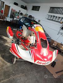 Telaio go Kart Birel Kz