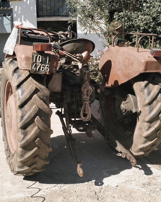 Same Puledro 26cv
